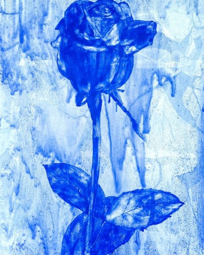 The blue rose