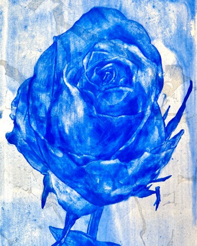 Blue Rose